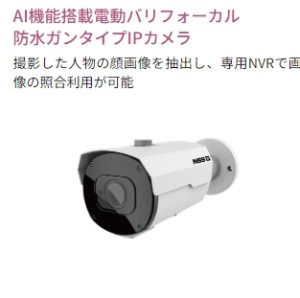 ガンタイプ